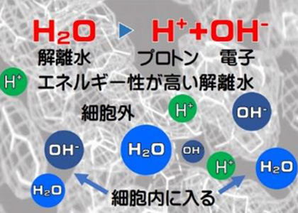 エネルギー性が高い解離水