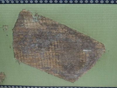 シロアリによる畳の被害